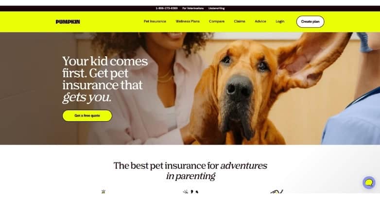 Fetch Pet Pumpkin Pet Insurance website featuring bold branding, playful visuals, and clear calls to action.